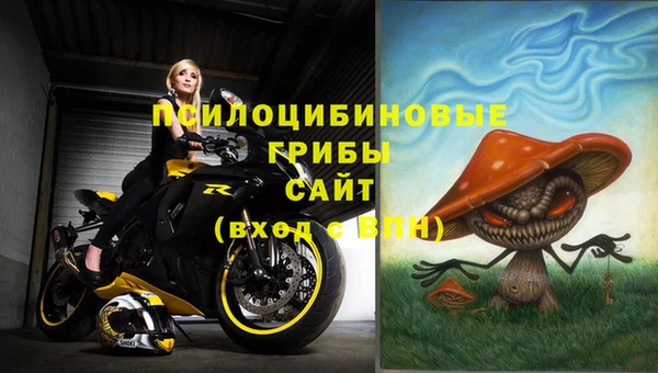 крисы Карталы