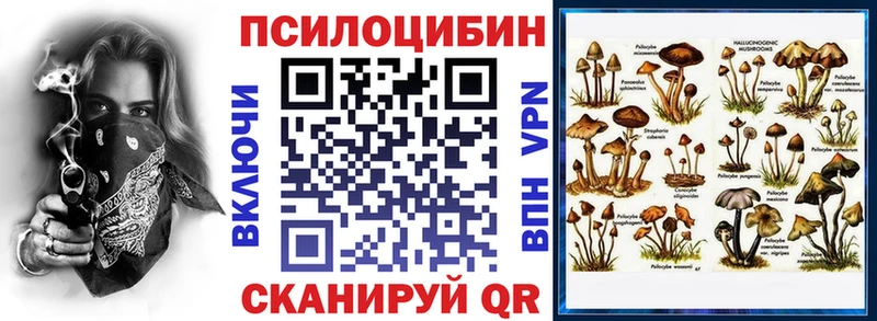 Купить где  Борисоглебск  Псилоцибиновые грибы Cubensis 
