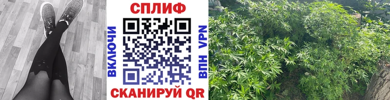 Купить закладки  Борисоглебск  Каннабис план 